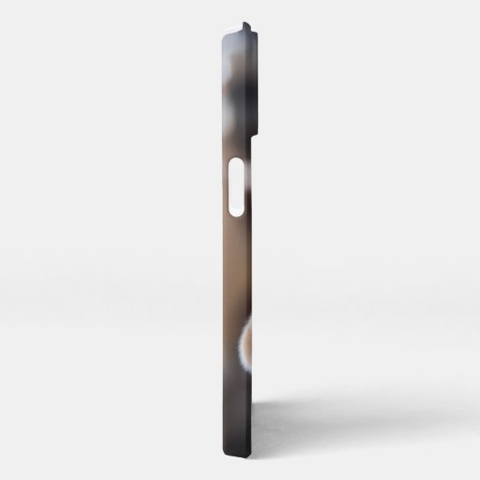 Niedliche Kleintiere | Sleepy Corgi iPhone Hülle (Rechte Seite)