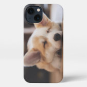 Niedliche Kleintiere | Sleepy Corgi iPhone Hülle (Rückseite)