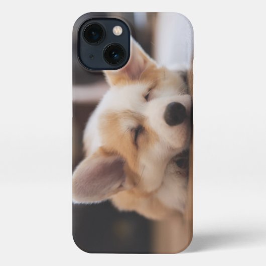 Niedliche Kleintiere | Sleepy Corgi iPhone Hülle (Rückseite)