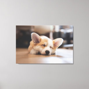Niedliche Kleintiere Sleepy Corgi Leinwanddruck