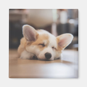 Niedliche Kleintiere Sleepy Corgi Magnet