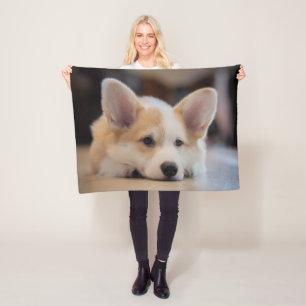 Niedliche Kleintiere Sleepy Corgi Puppy Fleecedecke