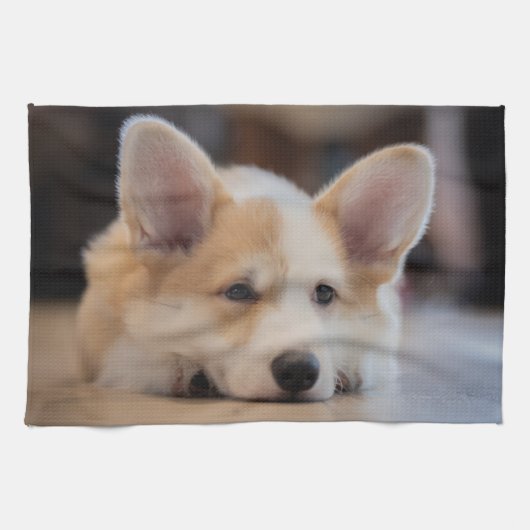Niedliche Kleintiere | Sleepy Corgi Puppy Geschirrtuch (Horizontal)