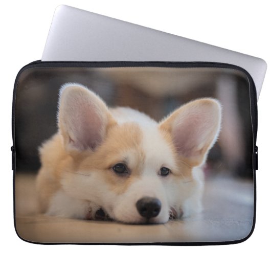 Niedliche Kleintiere | Sleepy Corgi Puppy Laptopschutzhülle (Vorderseite)