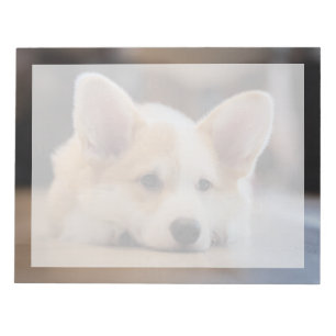 Niedliche Kleintiere Sleepy Corgi Puppy Notizblock