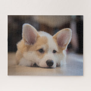 Niedliche Kleintiere Sleepy Corgi Puppy Puzzle