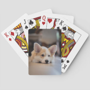 Niedliche Kleintiere Sleepy Corgi Puppy Spielkarten