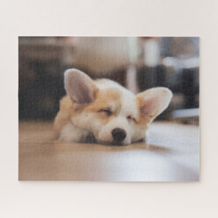 Niedliche Kleintiere   Sleepy Corgi Puzzle