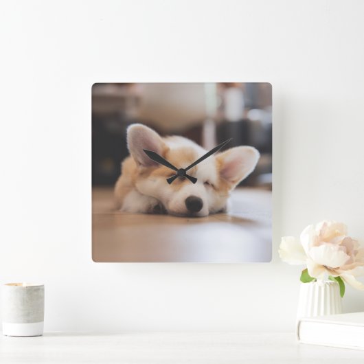 Niedliche Kleintiere | Sleepy Corgi Quadratische Wanduhr (Zuhause)