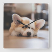 Niedliche Kleintiere | Sleepy Corgi Quadratische Wanduhr (Vorderseite)