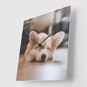 Niedliche Kleintiere | Sleepy Corgi Quadratische Wanduhr (Winkel)