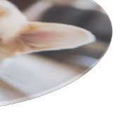 Niedliche Kleintiere | Sleepy Corgi Schneidebrett (Ecke)