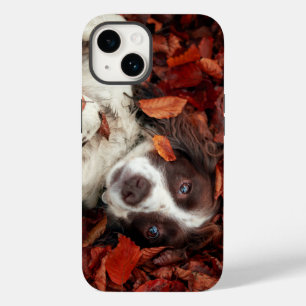 Niedliche Kleintiere   Spanier im Herbstbereich Case-Mate iPhone 14 Hülle