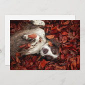 Niedliche Kleintiere | Spanier im Herbstbereich Dankeskarte (Vorne/Hinten)