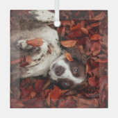 Niedliche Kleintiere | Spanier im Herbstbereich Ornament Aus Glas (Vorderseite)