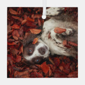 Niedliche Kleintiere | Spanier im Herbstbereich Ornament Aus Glas (Rückseite)