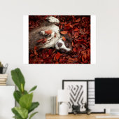 Niedliche Kleintiere | Spanier im Herbstbereich Poster (Heimbüro)