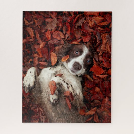 Niedliche Kleintiere | Spanier im Herbstbereich Puzzle (Vertikal)