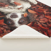 Niedliche Kleintiere | Spanier im Herbstbereich Sherpadecke (3/4)