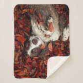 Niedliche Kleintiere | Spanier im Herbstbereich Sherpadecke (Vorderseite)