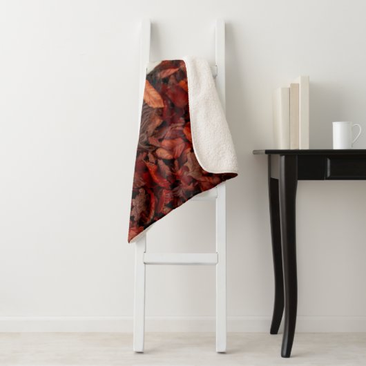 Niedliche Kleintiere | Spanier im Herbstbereich Sherpadecke (Beispiel)