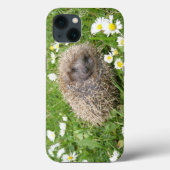 Niedliche Kleintiere | Spanischer Igel Case-Mate iPhone Hülle (Rückseite)