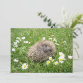 Niedliche Kleintiere | Spanischer Igel Dankeskarte (Stehend Vorderseite)