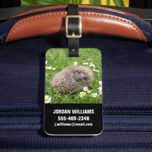 Niedliche Kleintiere Spanischer Igel Gepäckanhänger