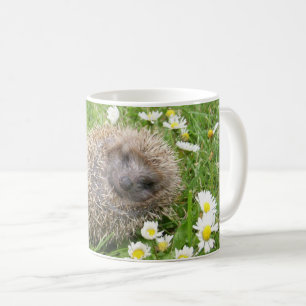 Niedliche Kleintiere Spanischer Igel Kaffeetasse