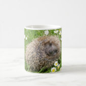 Niedliche Kleintiere | Spanischer Igel Kaffeetasse (Mittel)