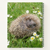 Niedliche Kleintiere | Spanischer Igel Notizblock (Rückseite)