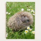 Niedliche Kleintiere | Spanischer Igel Planer (Vorderseite)