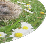 Niedliche Kleintiere | Spanischer Igel Schneidebrett (Ecke)