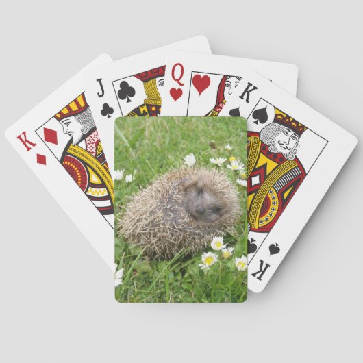 Niedliche Kleintiere | Spanischer Igel Spielkarten (Rückseite)