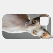 Niedliche Kleintiere | Sphinx Cat Case-Mate iPhone Hülle (Rückseite (Horizontal))