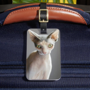 Niedliche Kleintiere Sphinx Cat Gepäckanhänger