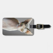Niedliche Kleintiere | Sphinx Cat Gepäckanhänger (Vorderseite horizontal)