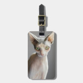 Niedliche Kleintiere | Sphinx Cat Gepäckanhänger (Vorderseite vertikal)