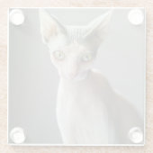 Niedliche Kleintiere | Sphinx Cat Glasuntersetzer (Rückseite)