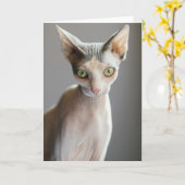 Niedliche Kleintiere | Sphinx Cat Karte (Gelbe Blume)