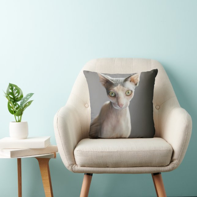 Niedliche Kleintiere | Sphinx Cat Kissen (Stuhl )