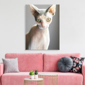 Niedliche Kleintiere | Sphinx Cat Leinwanddruck (Insitu (Wohnzimmer))
