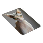 Niedliche Kleintiere | Sphinx Cat Magnet (Rechte Seite)