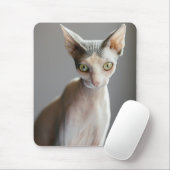 Niedliche Kleintiere | Sphinx Cat Mousepad (Mit Mouse)