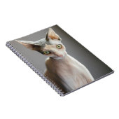 Niedliche Kleintiere | Sphinx Cat Notizblock (Rechte Seite)