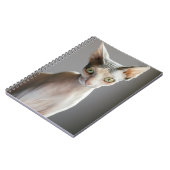 Niedliche Kleintiere | Sphinx Cat Notizblock (Linke Seite)