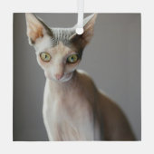 Niedliche Kleintiere | Sphinx Cat Ornament Aus Glas (Rückseite)