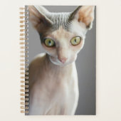 Niedliche Kleintiere | Sphinx Cat Planer (Vorderseite)