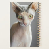 Niedliche Kleintiere | Sphinx Cat Planer (Rückseite)