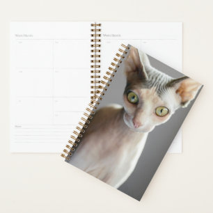 Niedliche Kleintiere Sphinx Cat Planer